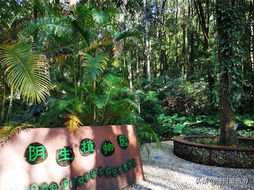 福建省 福州市 福州国家森林公园 全国十大森林公园之一