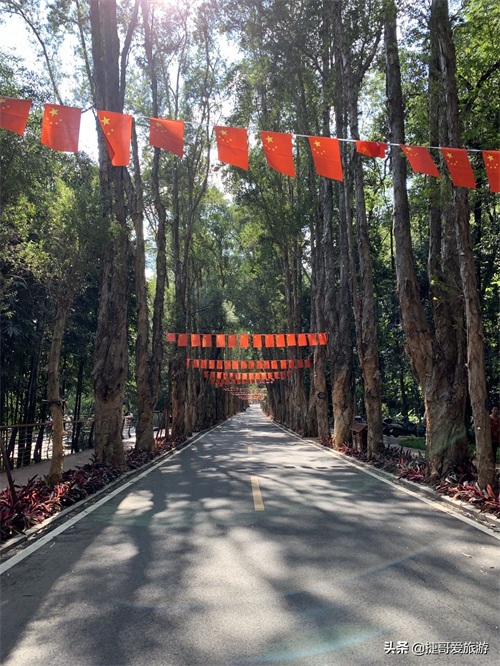 福建省 福州市 福州国家森林公园 全国十大森林公园之一