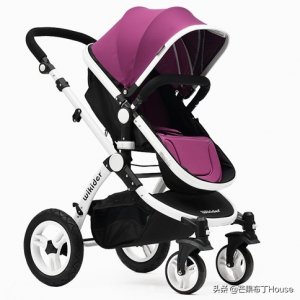​全球十大婴儿推车品牌