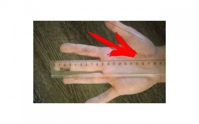 ​河南15岁小孩抚养费收取标准