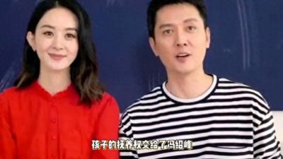 ​冯绍峰赵丽颖离婚：抚养儿子成再婚难题