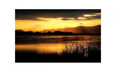 天长地久就不必了,往后余生,你活在我的回忆中就好