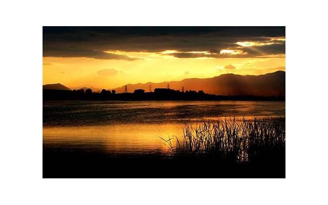 天长地久就不必了，往后余生，你活在我的回忆中就好