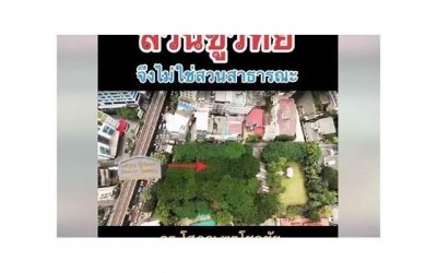 谢谢你,在那个孤独的夜给予我温暖