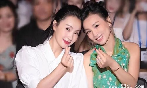 陶虹从张庭公司分红4亿惹争议 官方:她将面临追查