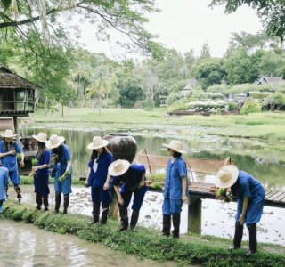 霍英东孙女体验农村生活,打扮朴素踩泥地里不嫌脏