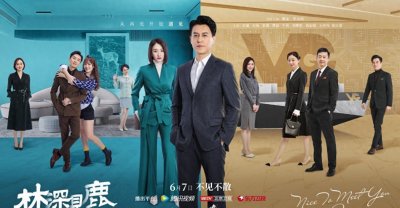 靳东李小冉的《林深见鹿》定档6.7,又是一部玛丽苏中年偶像剧吗