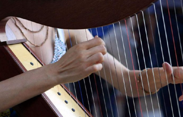 十大最难学的乐器排行榜 世界公认难度高的乐器盘点