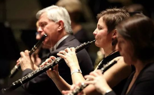 十大最难学的乐器排行榜 世界公认难度高的乐器盘点