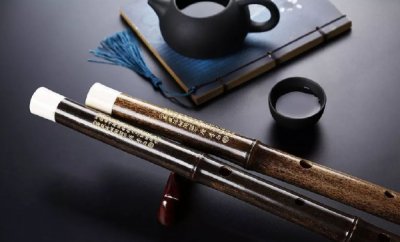 ​十大最难学的乐器排行榜 世界公认难度高的乐器盘点