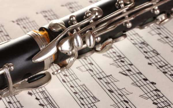 十大最难学的乐器排行榜 世界公认难度高的乐器盘点