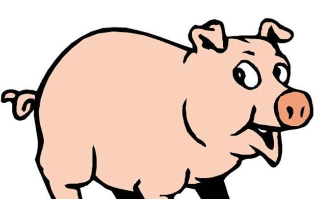 给我讲个关于猪的笑话英语