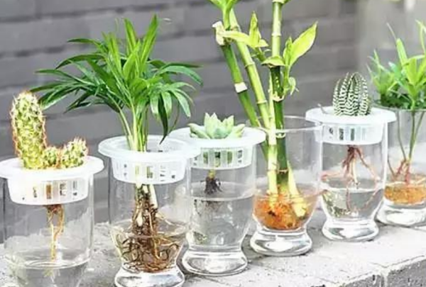 夏天厨房里有很多小虫子怎么办,夏天厨房有小虫子怎么办图6