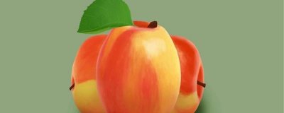 ​倭锦苹果的营养价值及营养成分