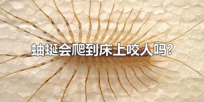 蚰蜒会爬到床上咬人吗? 蚰蜒分布在全国大多数地方