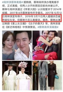 中韩明星夫妻高梓淇蔡琳离婚,高梓(蔡琳老公高梓淇资料)