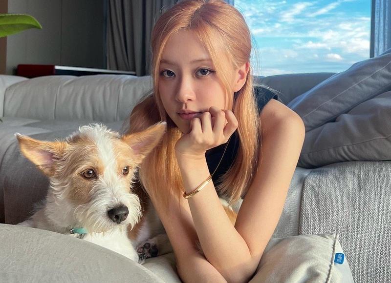 仙女星系:遥远的生命之地,可能性与挑战 仙女星系:遥远的生命之地,可能性与挑战