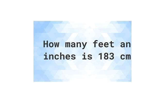 肖战身高图，28岁的肖战拥有183cm的身高