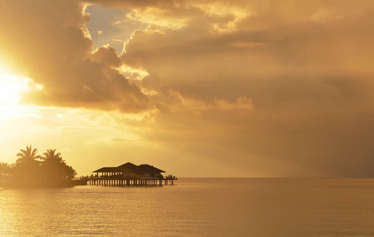 撒贝宁董卿为什么分手(康辉董卿撒贝宁) 撒贝宁 董卿 第1张