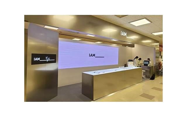 第一次谈恋爱的我（第一次谈恋爱的我们综艺在线观看）