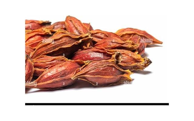 生zhi器疱疹有哪些危害？生zhi器疱疹有哪些分类？