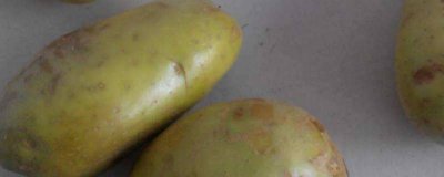 ​土豆绿了没发芽能吃吗 土豆绿了没发芽能吃吗有毒吗