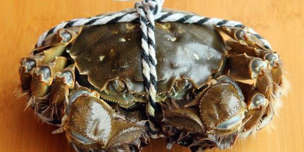 所有螃蟹都有蟹黄？相关人士帮你普及，带你了解螃蟹小知识！