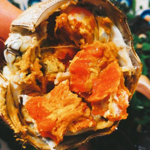 所有螃蟹都有蟹黄？相关人士帮你普及，带你了解螃蟹小知识！