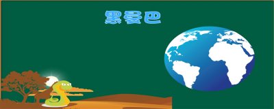 ​黑曼巴是什么意思