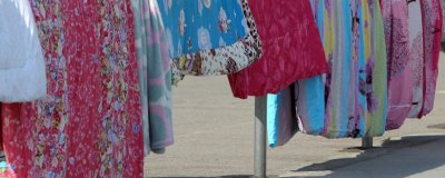 ​跳蚤怕什么东西 跳蚤怕什么气味