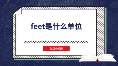 ​feet是什么单位