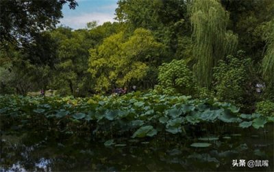 ​《史记》原文 译文（二十六）