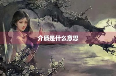 ​介质是什么意思