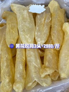 花胶是鱼泡吗(花胶属不属于鱼泡)