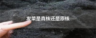 ​发菜是真核还是原核