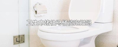 ​卫生巾把马桶堵了怎么办 卫生巾导致马桶堵了怎么办