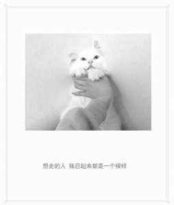 ​你终于开了口，一段感情最难过的是曾经你对我很好很好