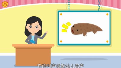 ​大鲵和娃娃鱼的区别