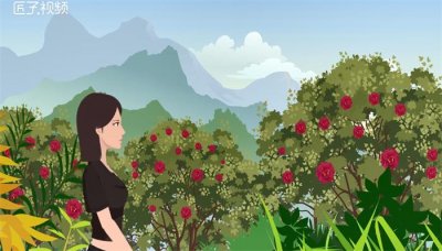 ​冬天冻不死的常绿植物